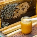 How Much Honey Can You Get From One Hive