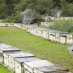 How Far Apart Should Beehives Be Placed