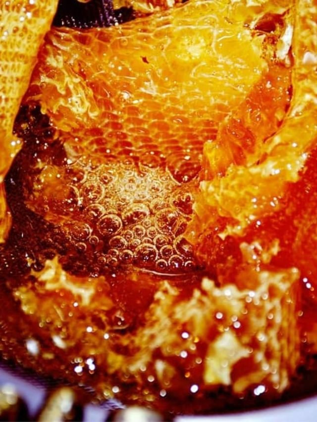 How To Extract Honey From Comb At Home