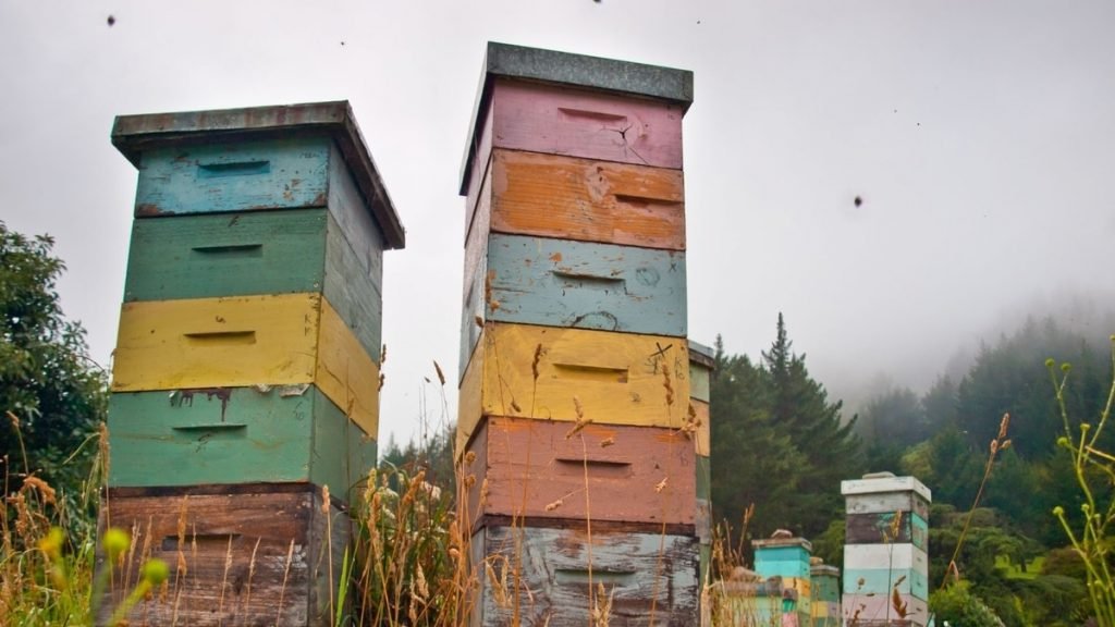 When To Add Supers To Beehives