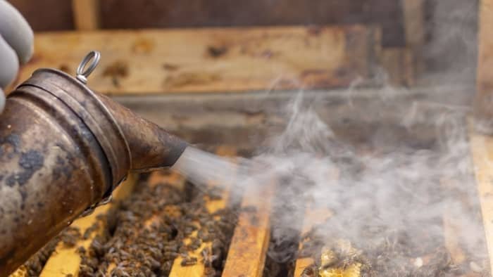 beekeeping smoker fuel