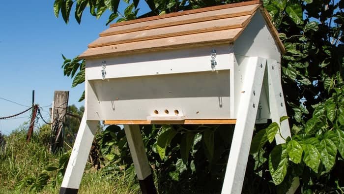 Top Bar Hive Ventilation