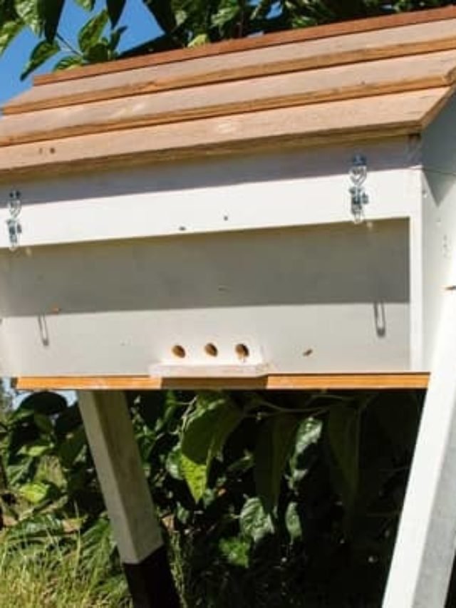 Top Bar Hive Ventilation