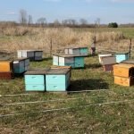 Electric Fence For Beehives