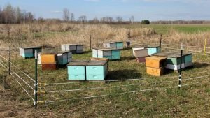 Electric Fence For Beehives