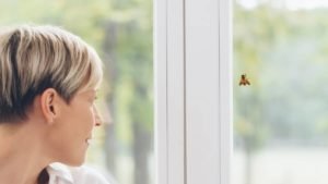 How To Get Bees Out Of Your House