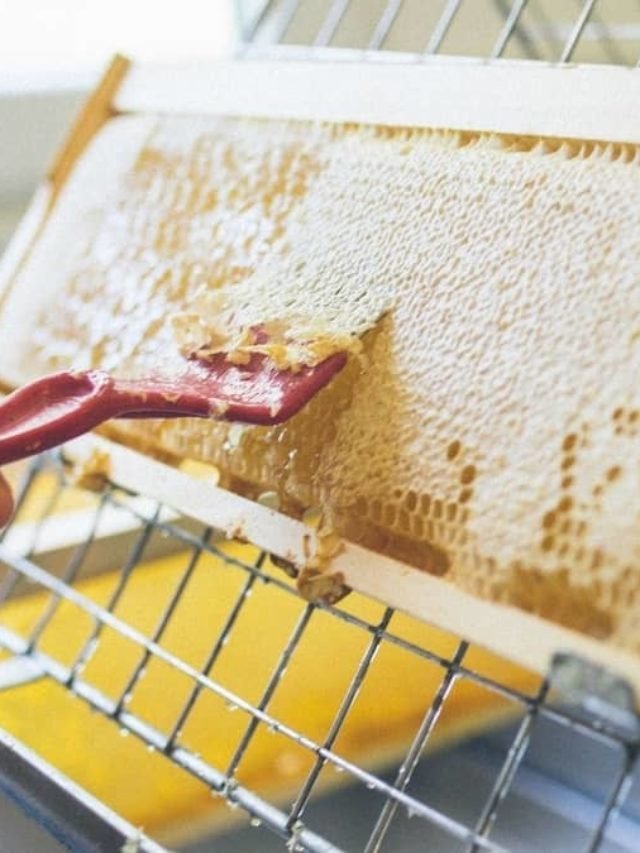 How Much Honey Per Frame?