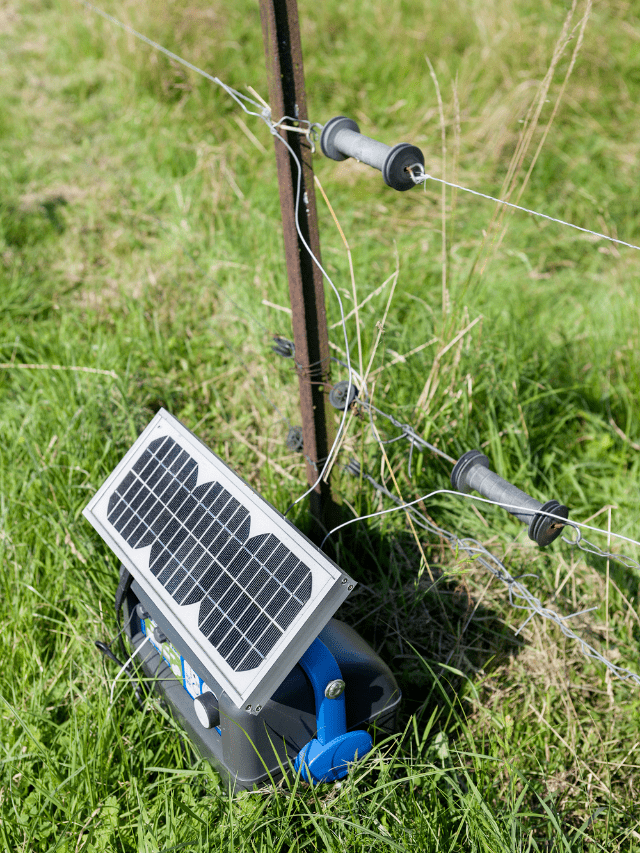 Electric Fence For Beehives