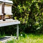 How To Build A Beehive Stand