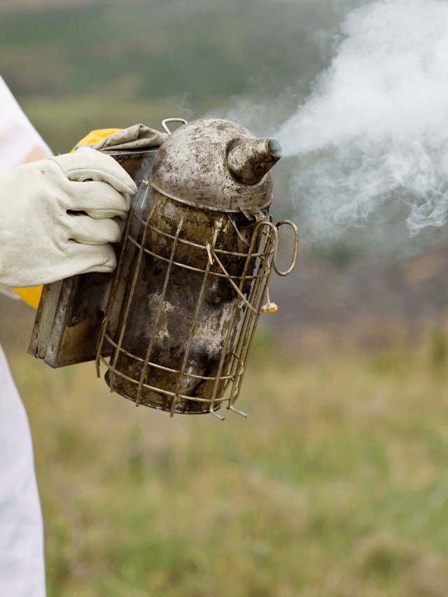 How Does A Bee Smoker Work?