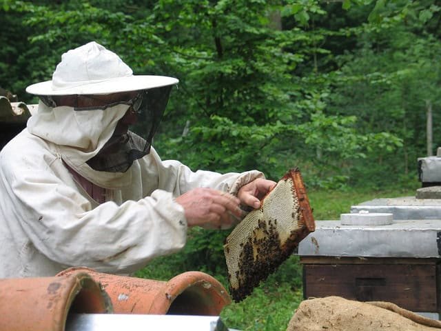 Man teaching Natural Beekeeping Principles