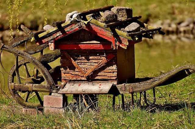 Sustainable Beekeeping Bee Hive