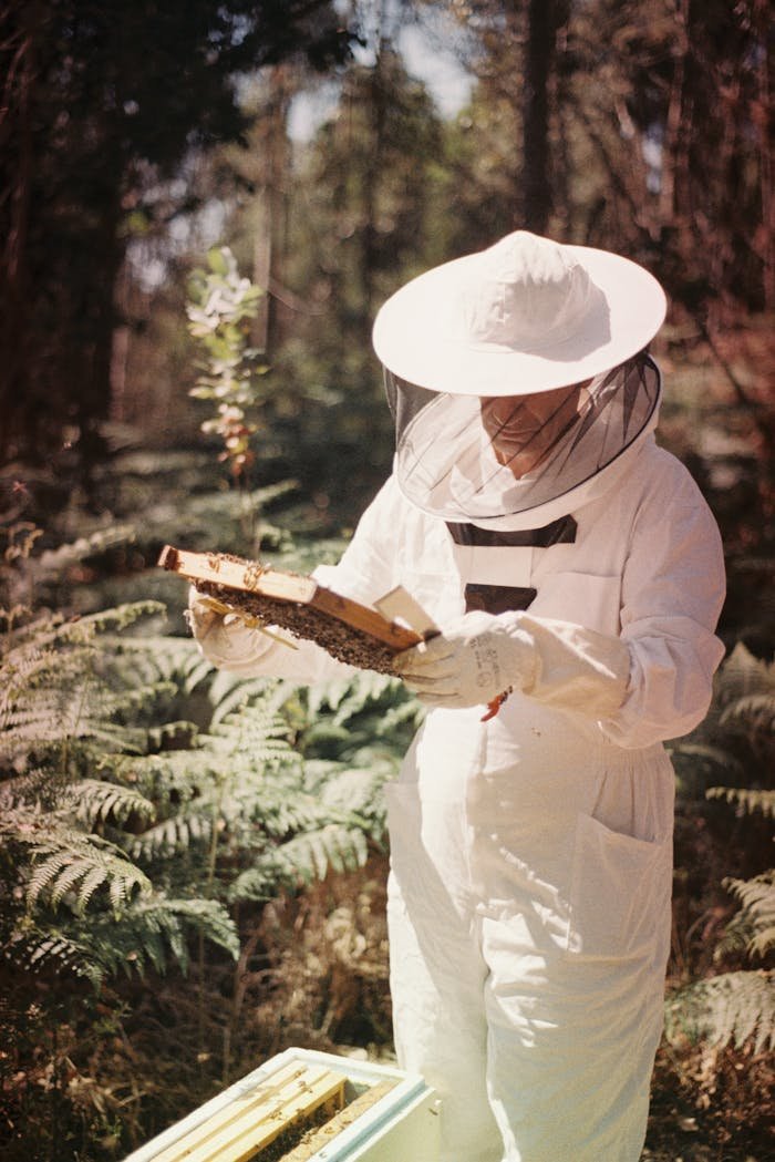 A Man from the Beekeeping Club Near Me