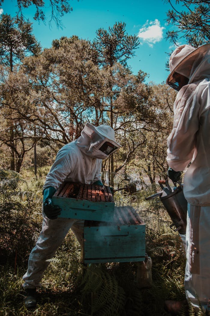 People at Beekeeping Club