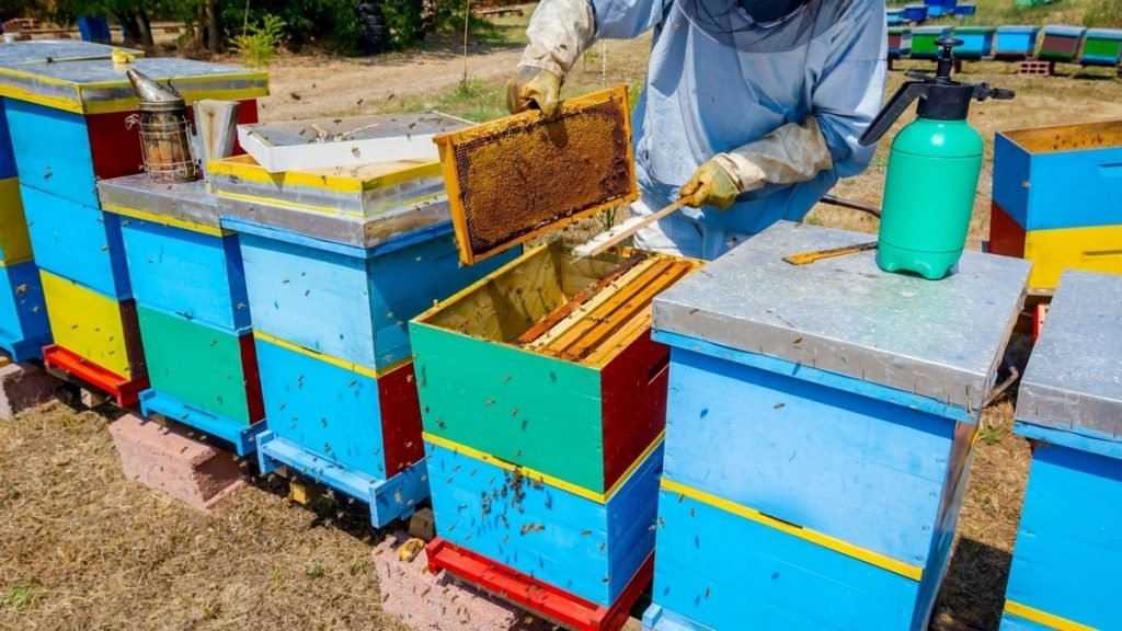 How to Ventilate a Beehive