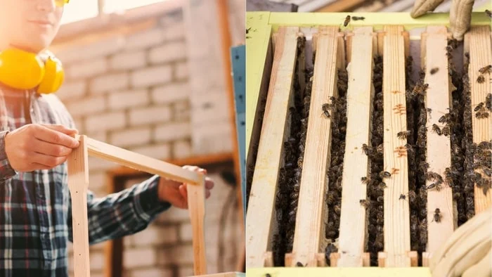 beehive price