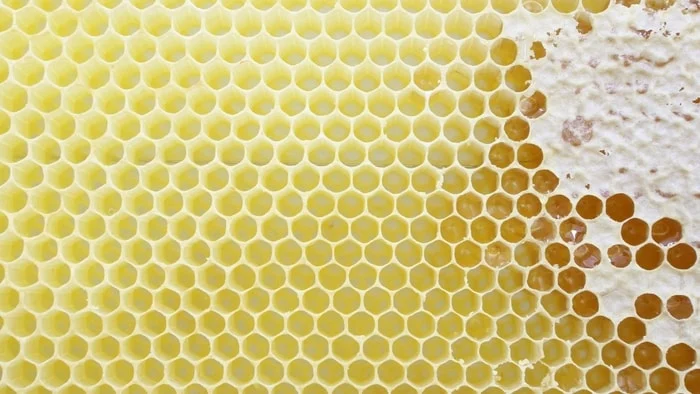  foundation beehive