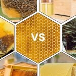 Bee Foundation Plastic vs Wax