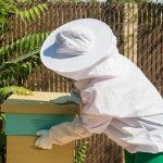 Bees and Your Neighbours and The Law