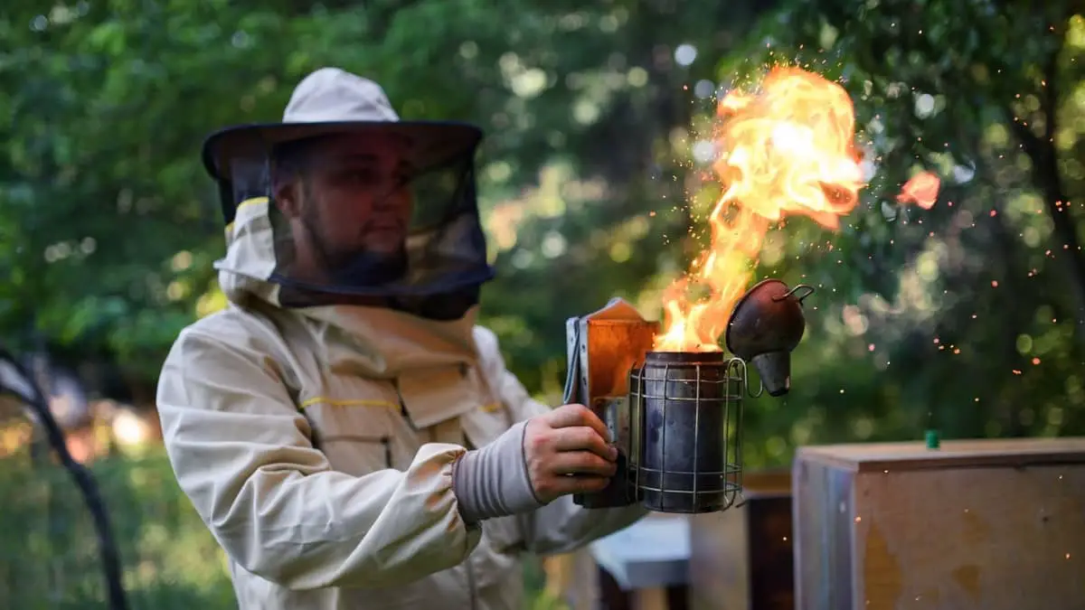 How Does A Bee Smoker Work