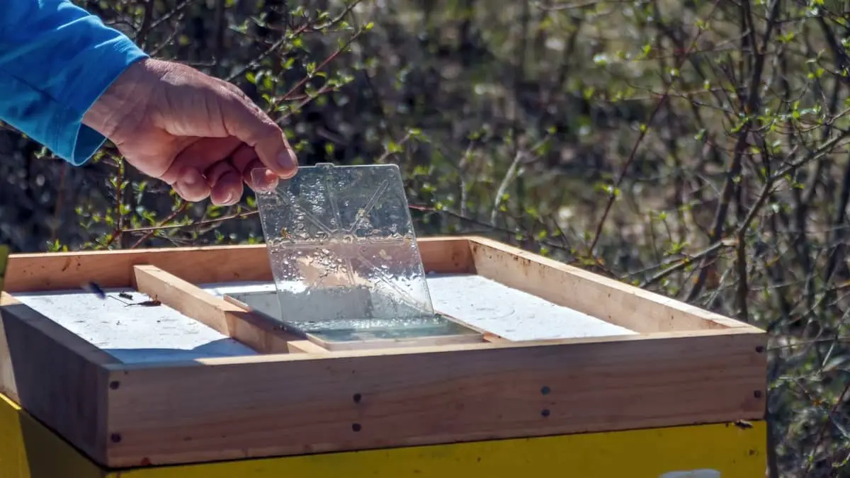 How To Make A Candy Board For Bees