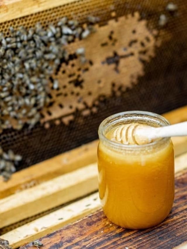 4 Ways To Bump Up Honey Production