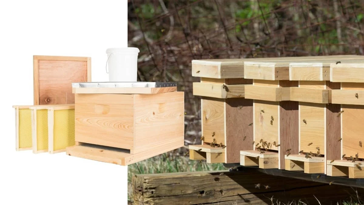 Deep Hive Body Dimensions