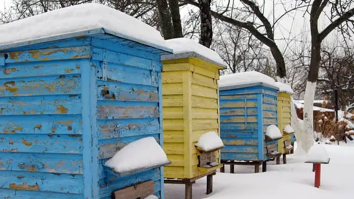 Home for bees in the winter, hive