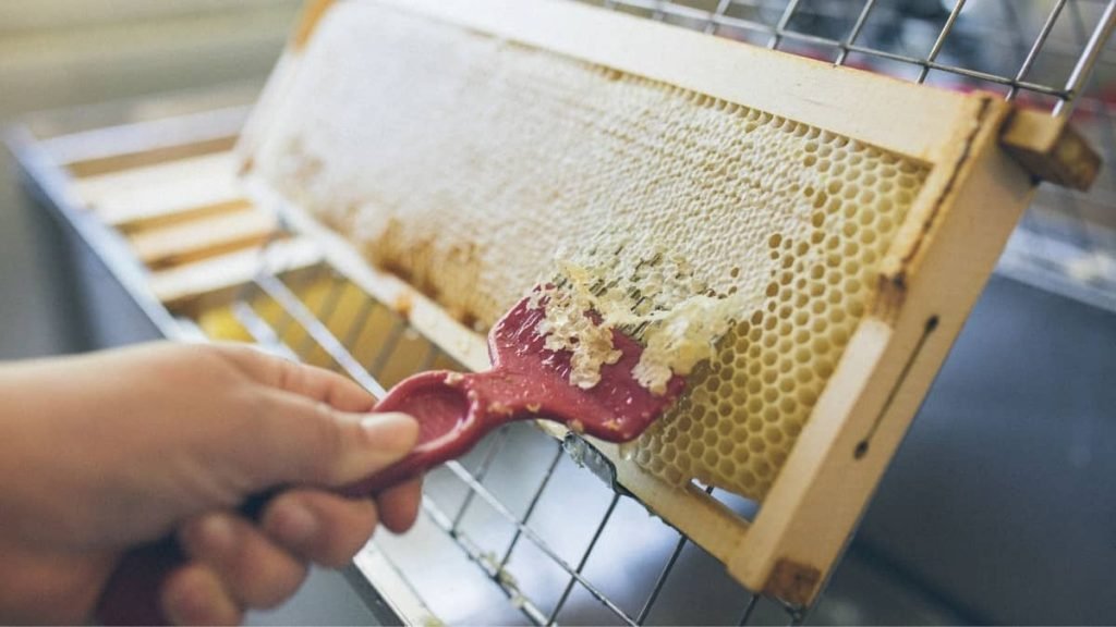 How To Separate Honey From Beeswax