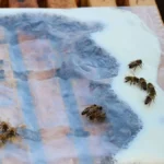 Winter Bee Feeding Recipe