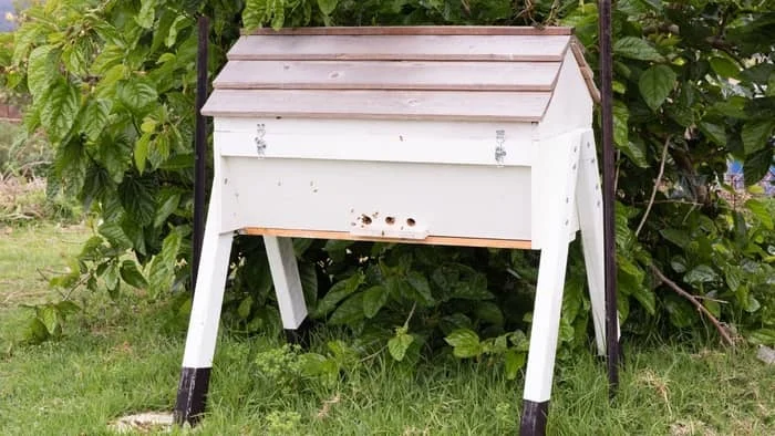 Top Bar Hives