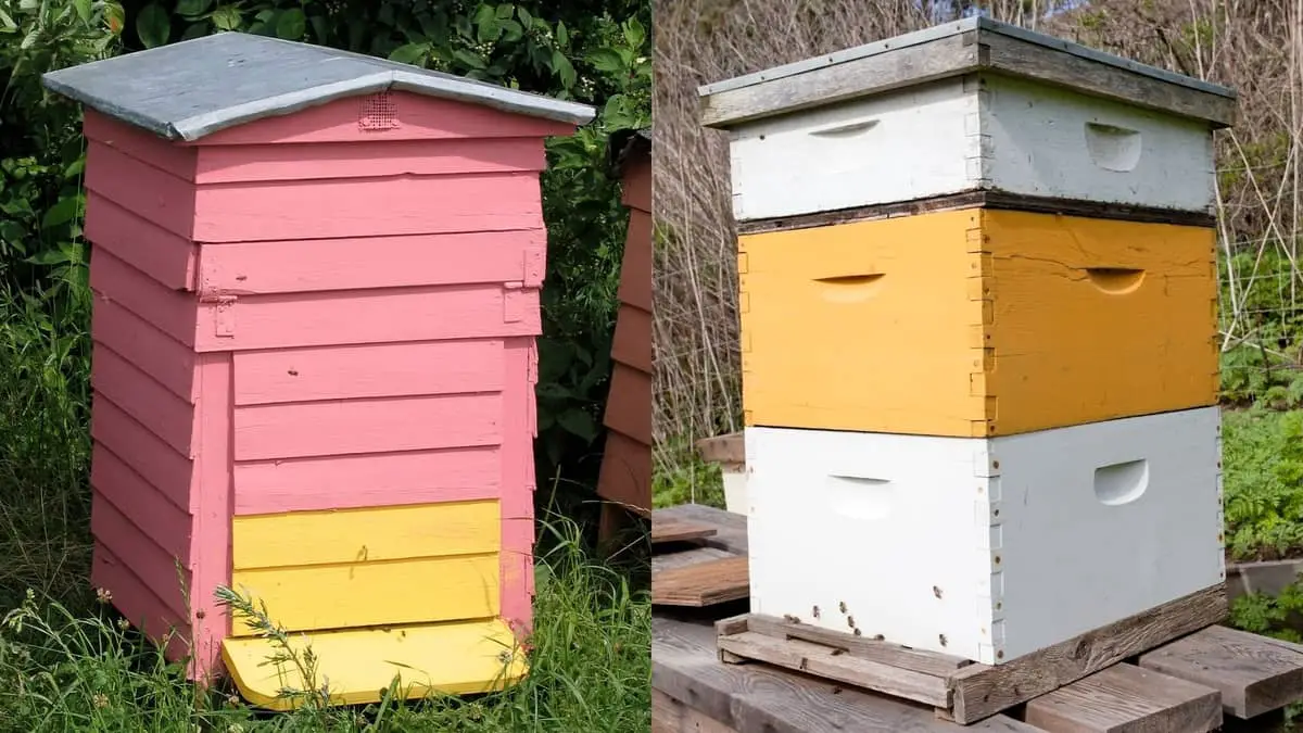 Warre Hive vs Langstroth Hive