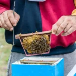 2 Frame Mating Nuc Plans