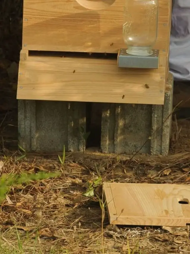 How To Make A Beehive Inner Cover – The Simplest Route