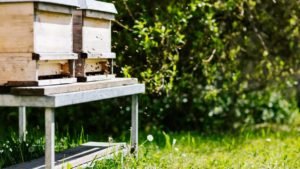 How To Build A Beehive Stand