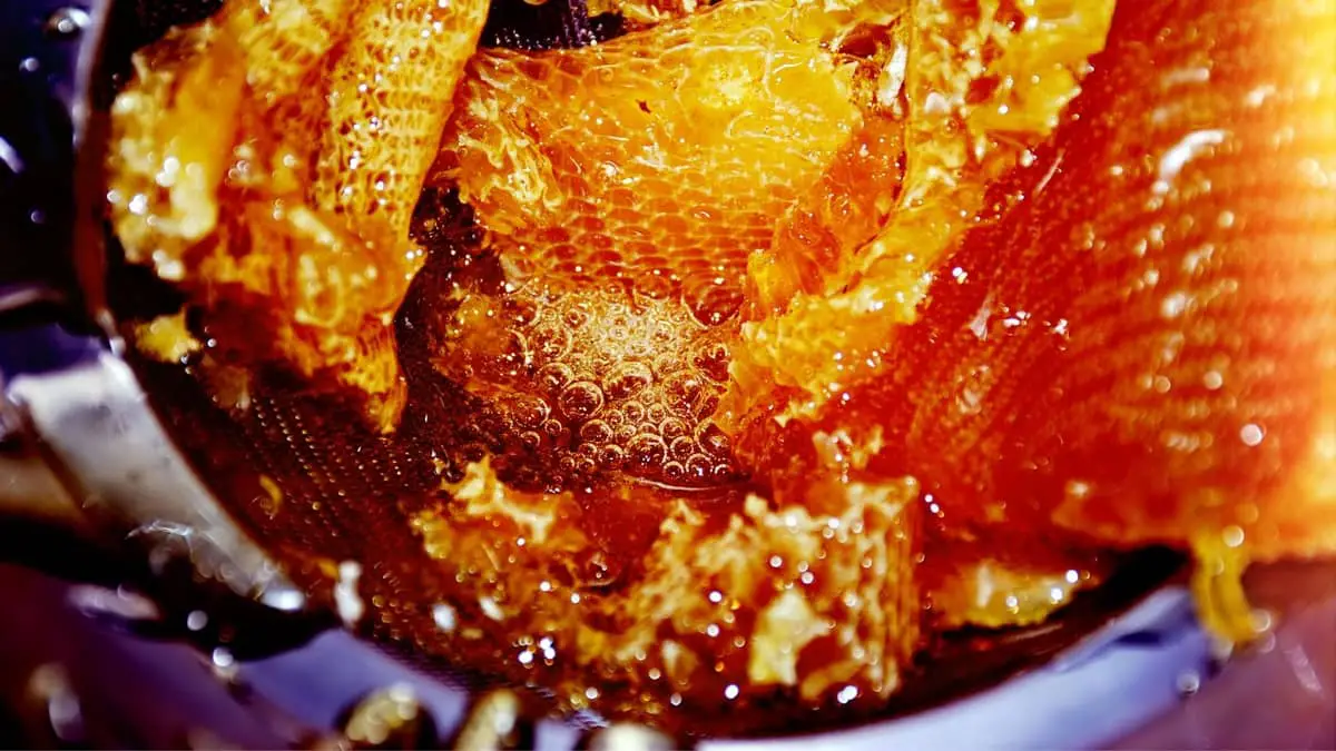 How To Extract Honey From Comb At Home
