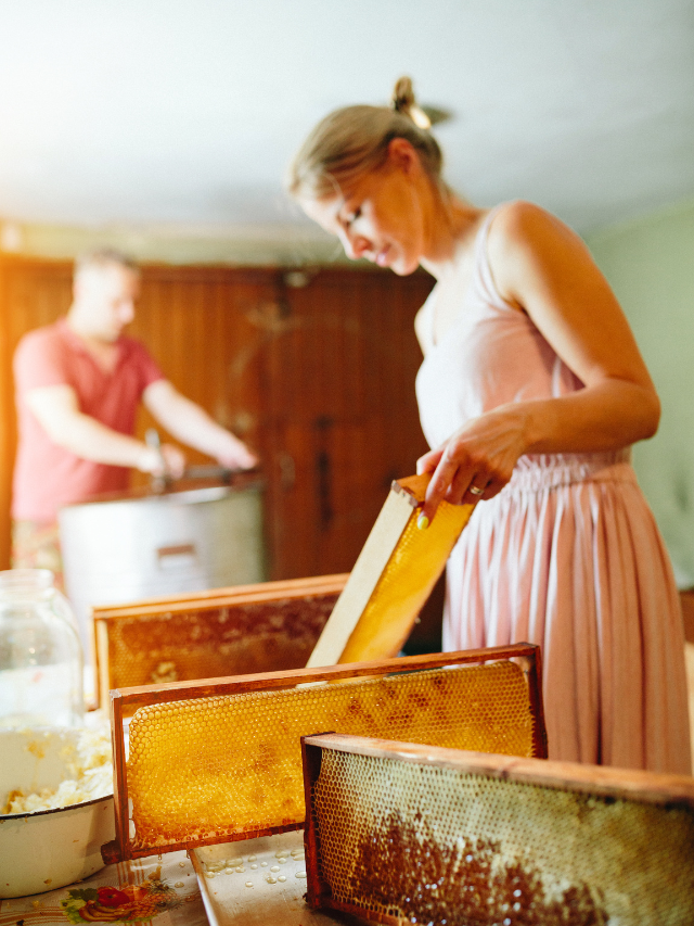 Homestead Beekeeping collecting the honey