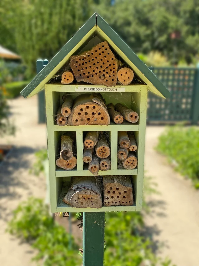 Bee Hotel which is used for pollinator bees such as carpenter bees