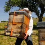A Beekeeper moving the beekeeping equipment need to start for beginners including a new langstroth hive