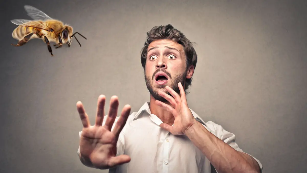Do Bees Sense Fear