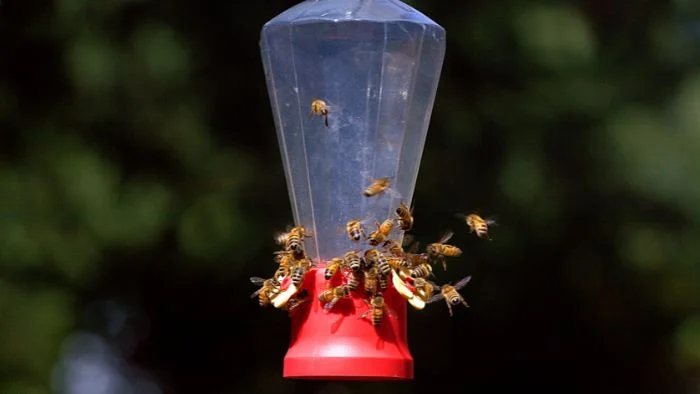 what is the best bee proof hummingbird feeder