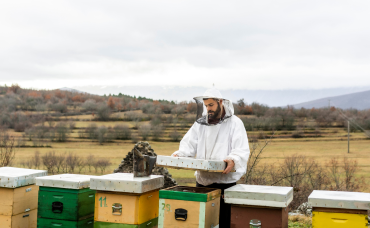 Man Checking beehives