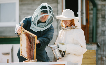 Beekeepers working with apiculture equipment