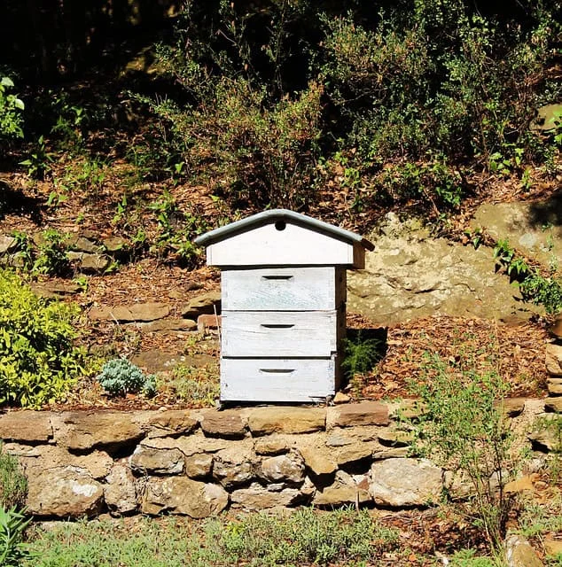 A Homestead Beehive