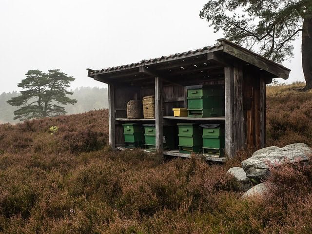 Beekeeping Beehives on a Homestead