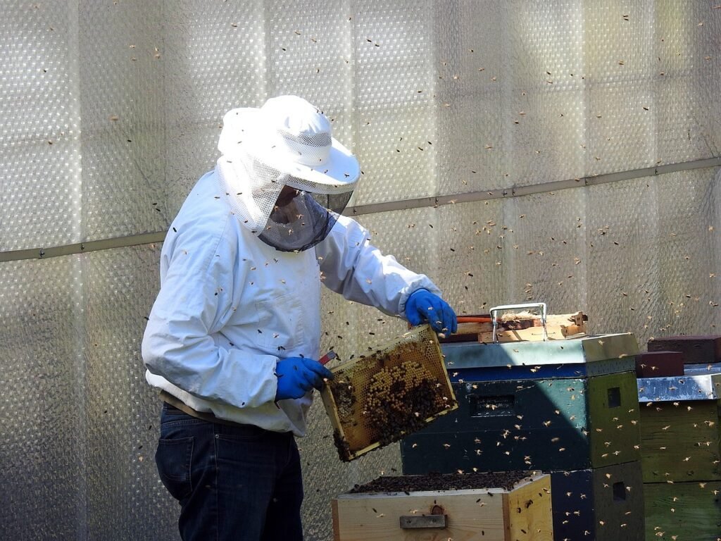 Beekeeping Clubs in Australia