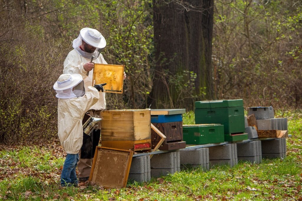 Beekeeping Clubs in the United States