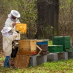 Beekeeping Club people in the United States