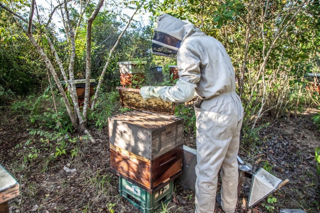 Beekeeping Clubs in Canada