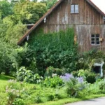 Beekeeping on a Homestead